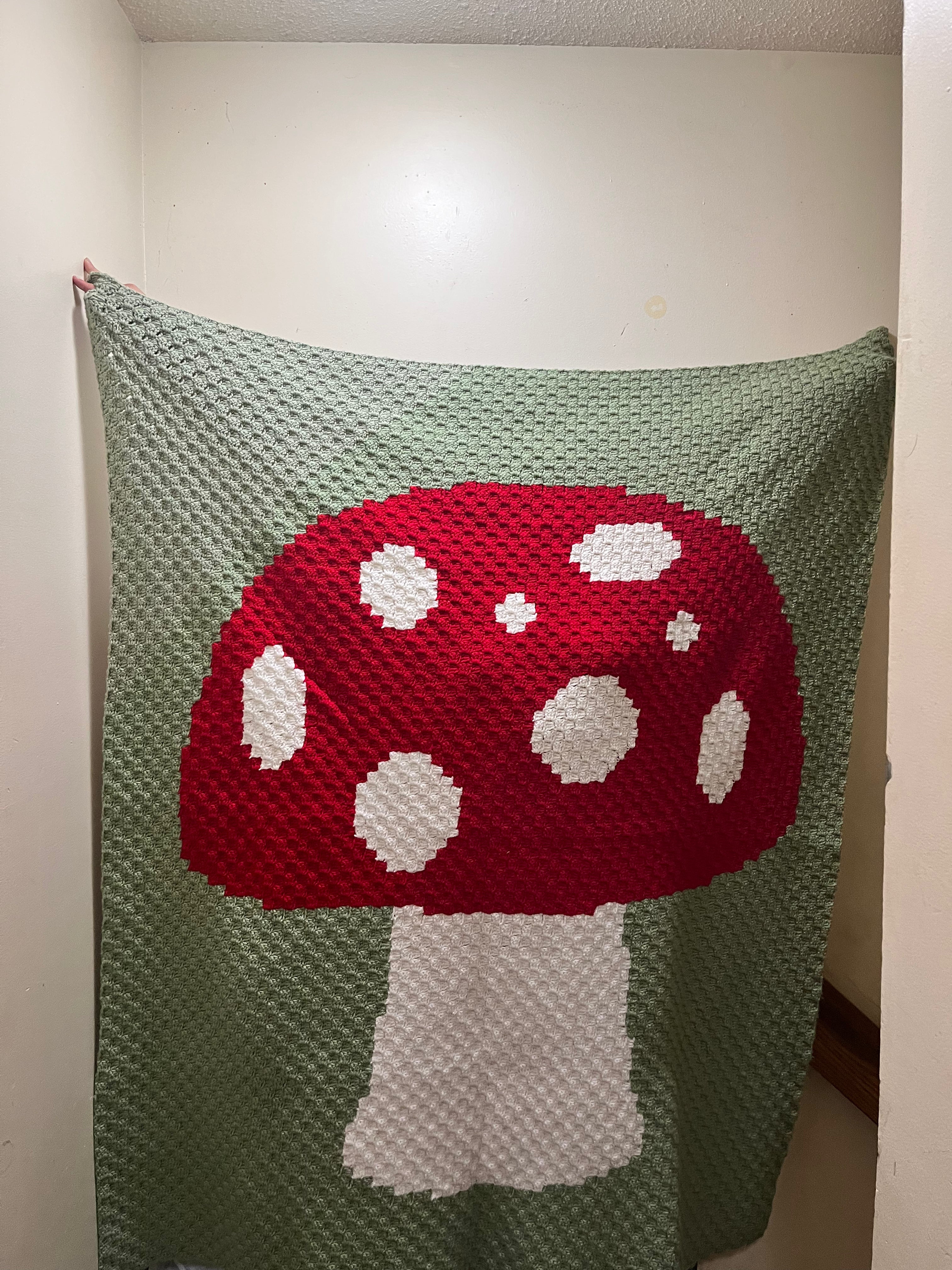 Handmade large throw size mushroom blanket ￼